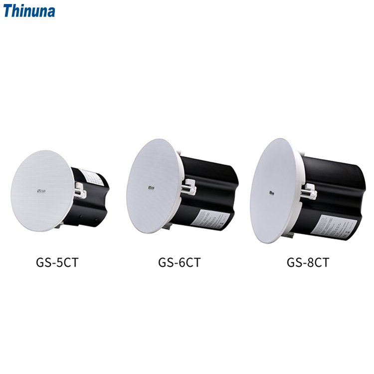 Thinuna GS Commercial Passive Portable 2 Way Component PA Public Address Speakers Box Audio System Sound Coaxial Ceiling Speaker