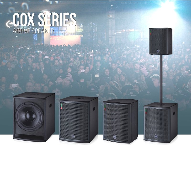 Morin 12-Inch Subwoofer: The PA System's Best Buddy for Professional Audio That'll Make Your Beats Drop Like They're Hot!