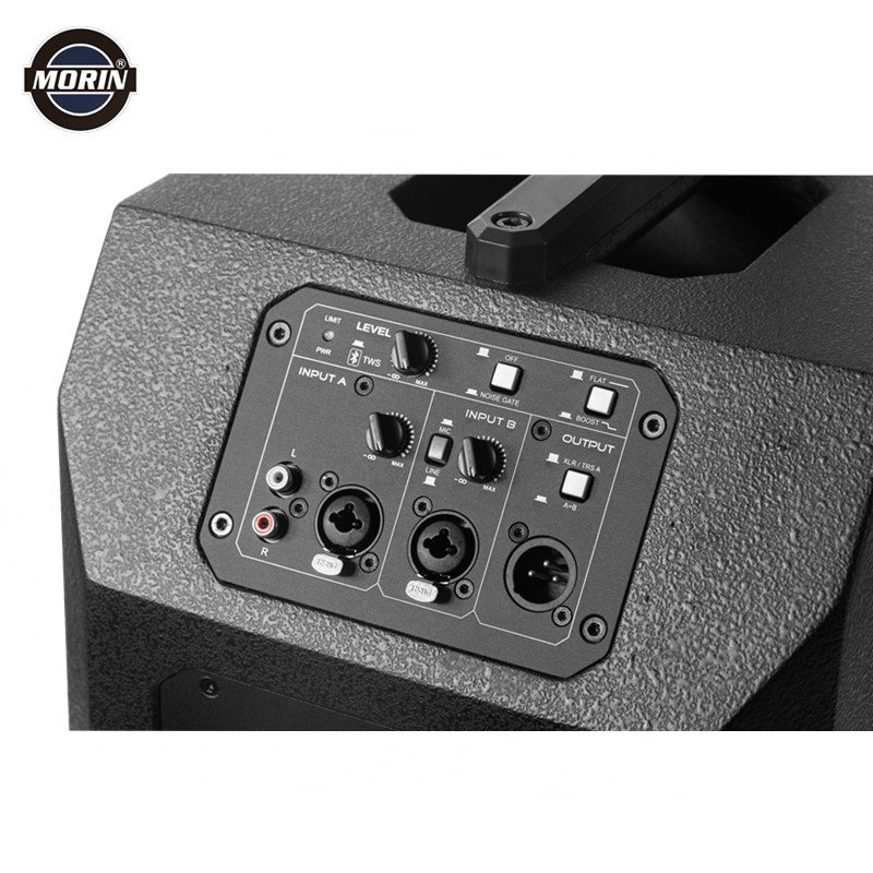 Portable Professional Audio Sound Equipment 10 Inch Subwoofer Powered 1000W Pro PA System Active Column Speaker With Amplifier