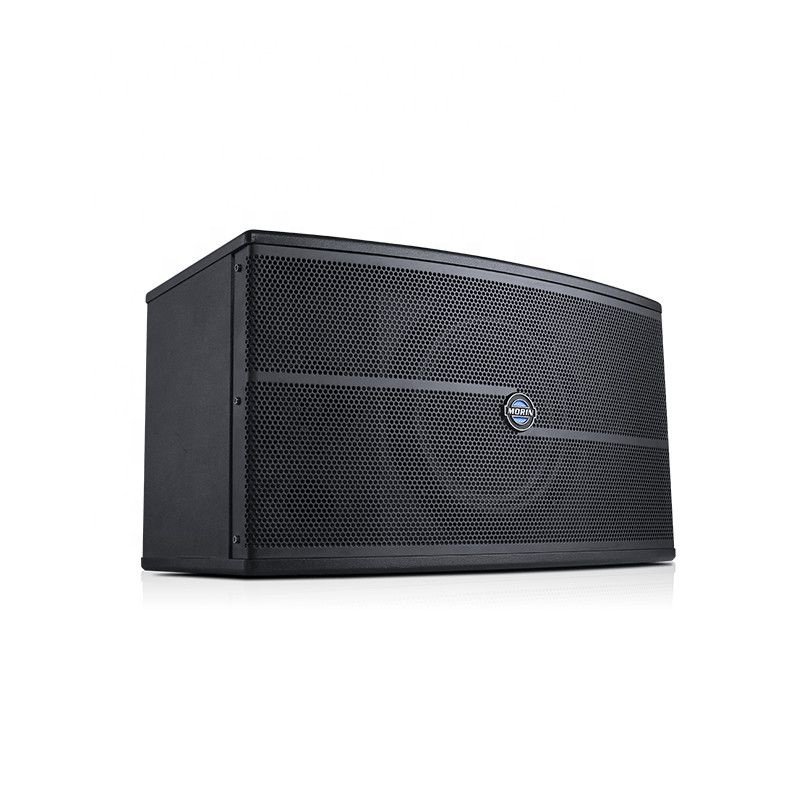 2023 New Arrival 300W High Power MDF Wooden Cabinet Iron Panel Audio Loudspeaker Stage Speaker