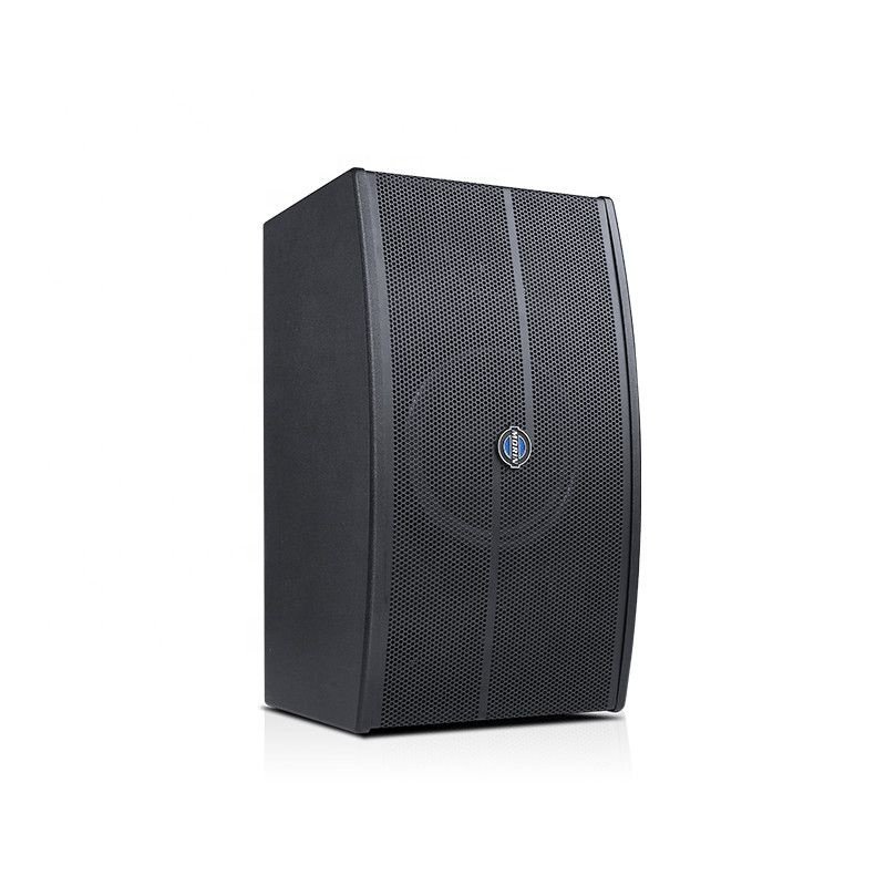 2023 New Arrival 300W High Power MDF Wooden Cabinet Iron Panel Audio Loudspeaker Stage Speaker
