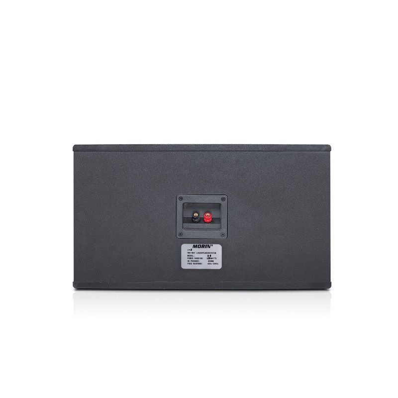 2023 New Arrival 300W High Power MDF Wooden Cabinet Iron Panel Audio Loudspeaker Stage Speaker
