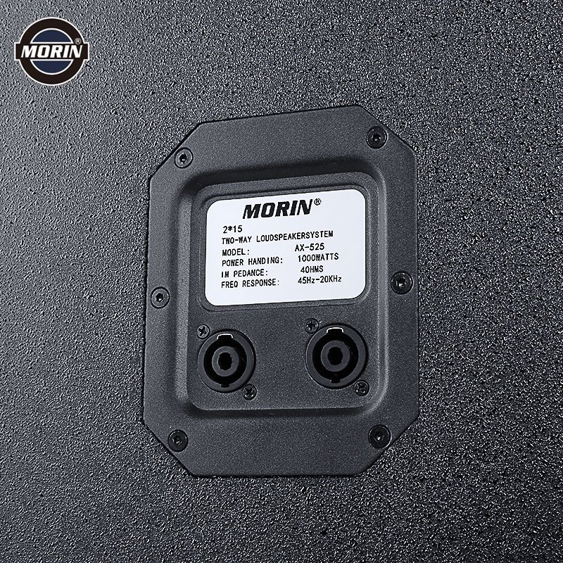 professional audio large sound box rated power 1000w dual 15 inch speaker for party