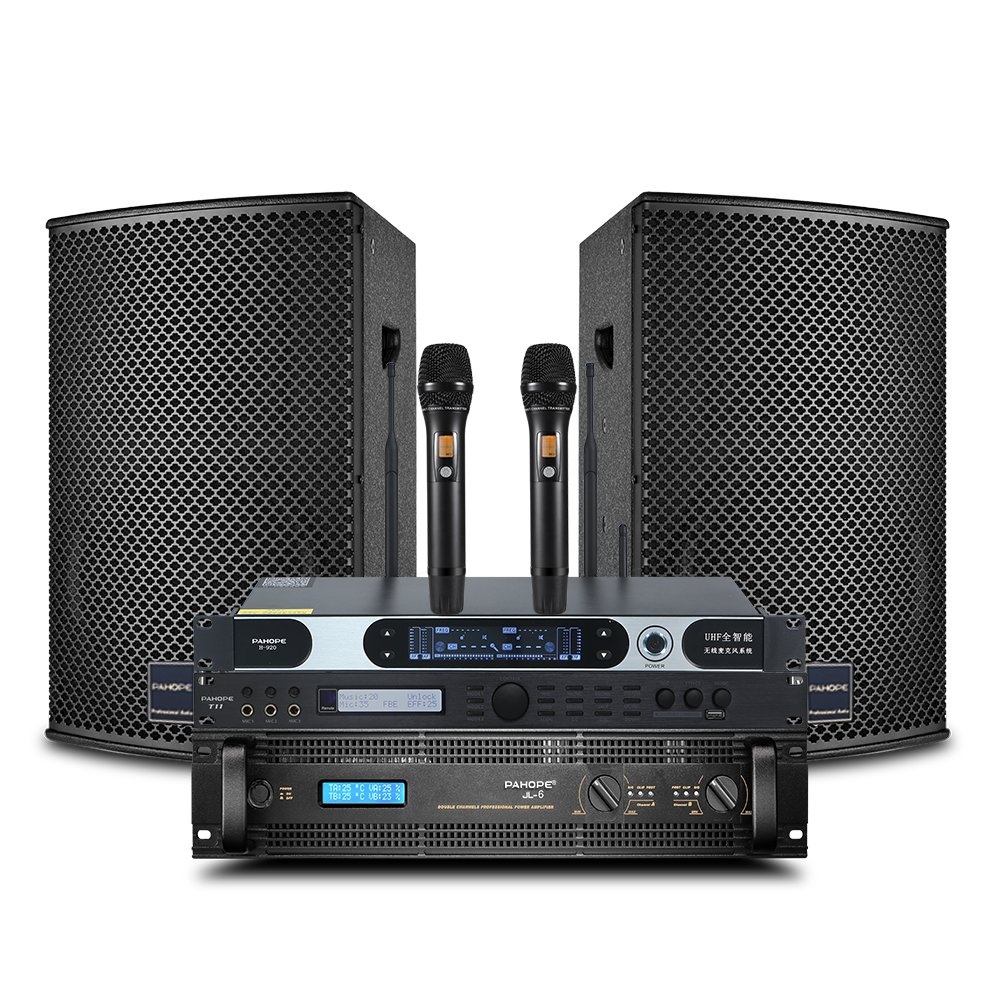 Professional 12-inch KTV speaker set high-end jukebox bar project full set of equipment speakers