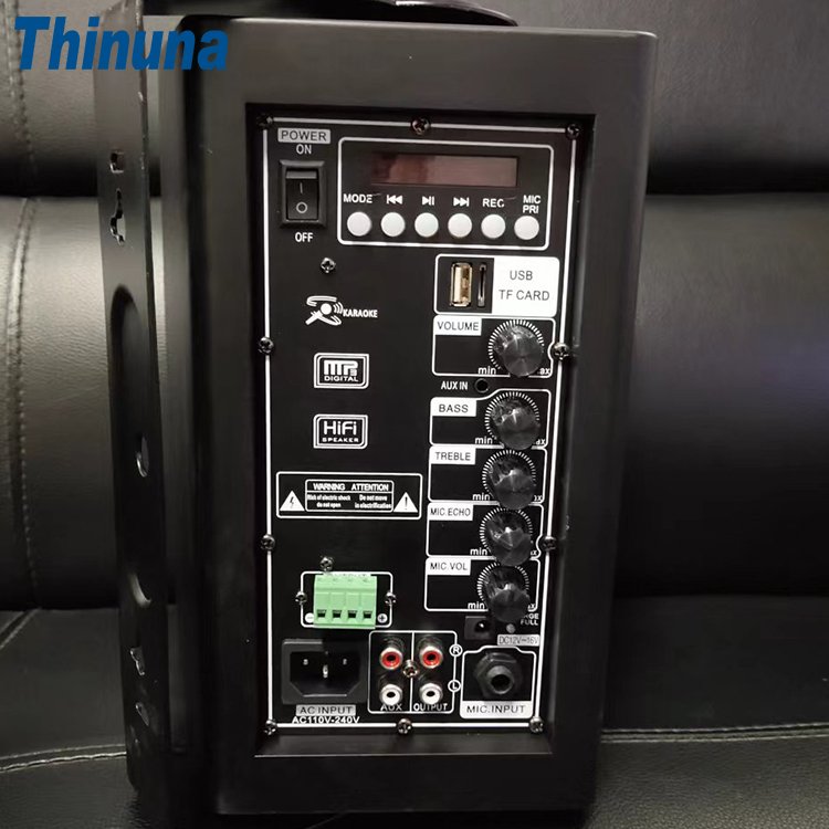 Thinuna FS-W6L-BT Wholesale Audio System Sound Wireless Bluetooth Wall Mount Speaker with Amplifier for Home Theater System
