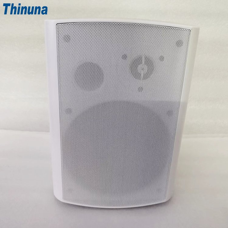 Thinuna FS-W6L-BT Wholesale Audio System Sound Wireless Bluetooth Wall Mount Speaker with Amplifier for Home Theater System