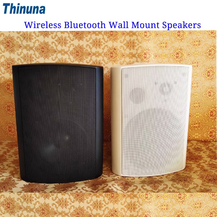 Thinuna FS-W6L-BT Wholesale Audio System Sound Wireless Bluetooth Wall Mount Speaker with Amplifier for Home Theater System