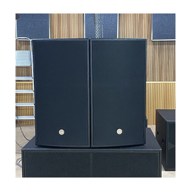 Professional High-end Club Series Passive Sound Speaker System Single 15 Inch Speakers