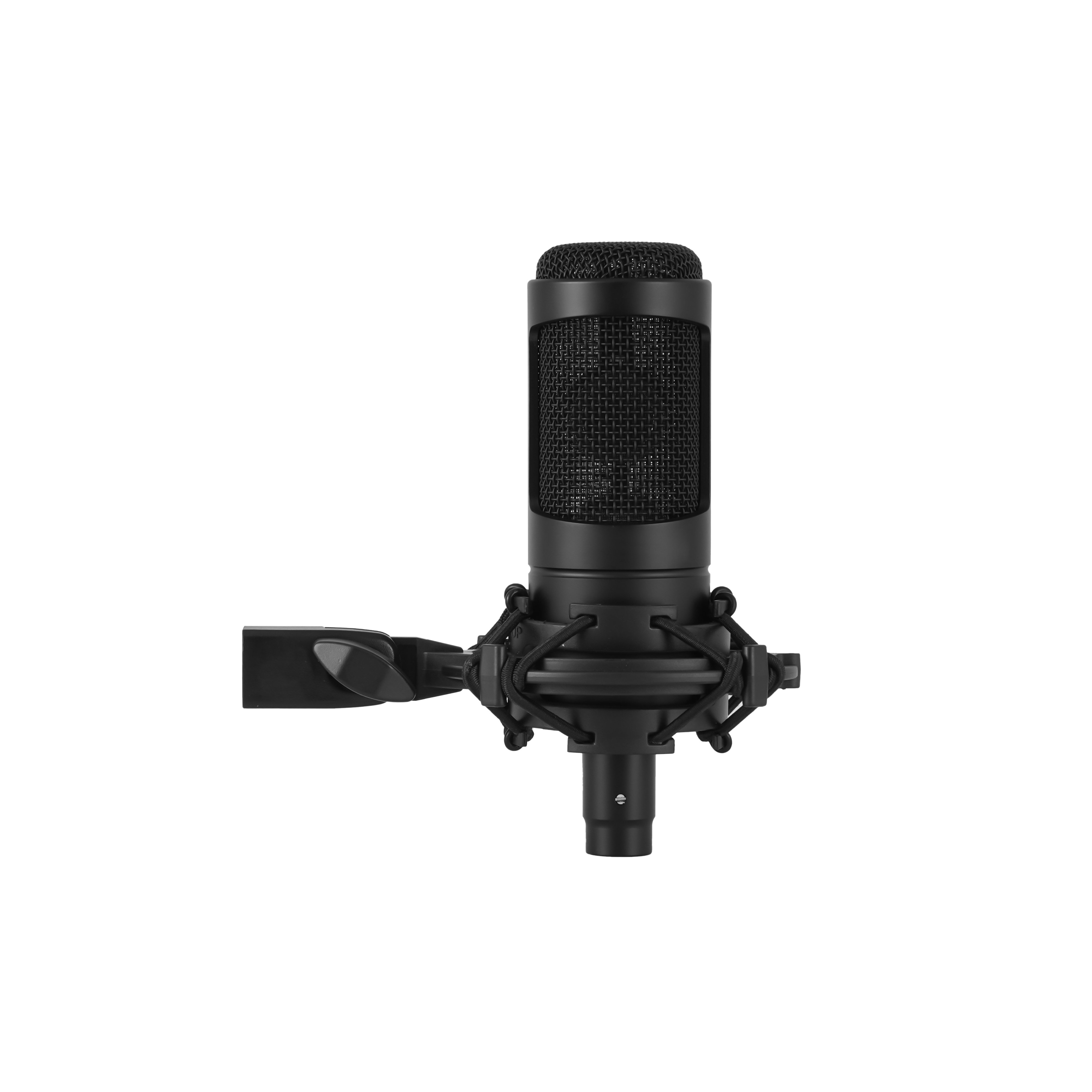 AT2035 Cardioid Capacitive Microphone with Wide Dynamic Range, for Professional Studio Recording,With shock-absorbing bracket