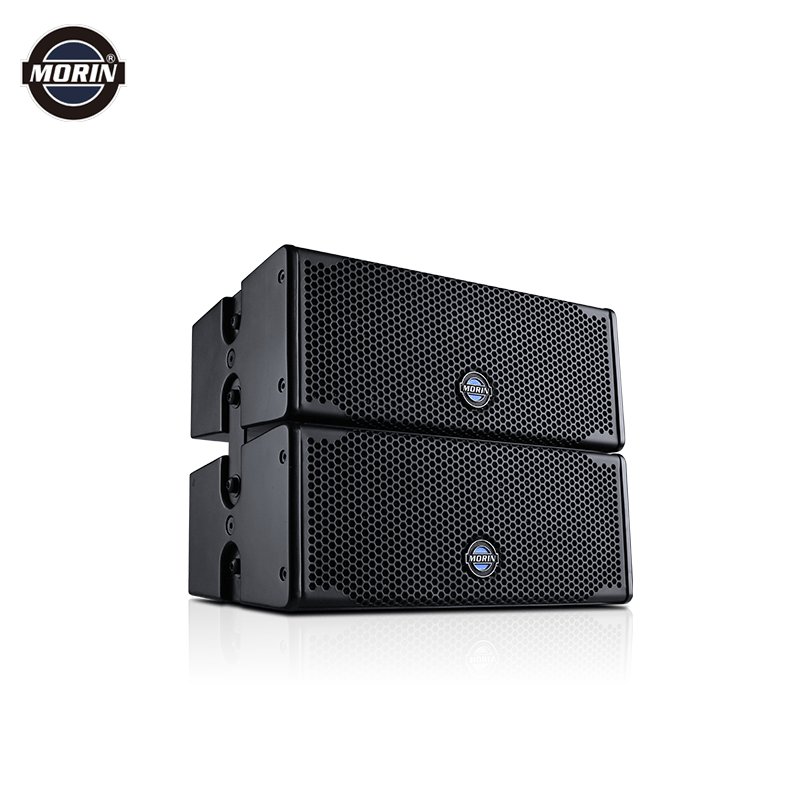 Mini Line Array Speaker