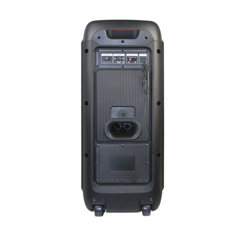 T Professional Audio 80W Bluetooth Speakers Double 10 Inch Woofer Output Power Karaoke Party Trolley Speaker