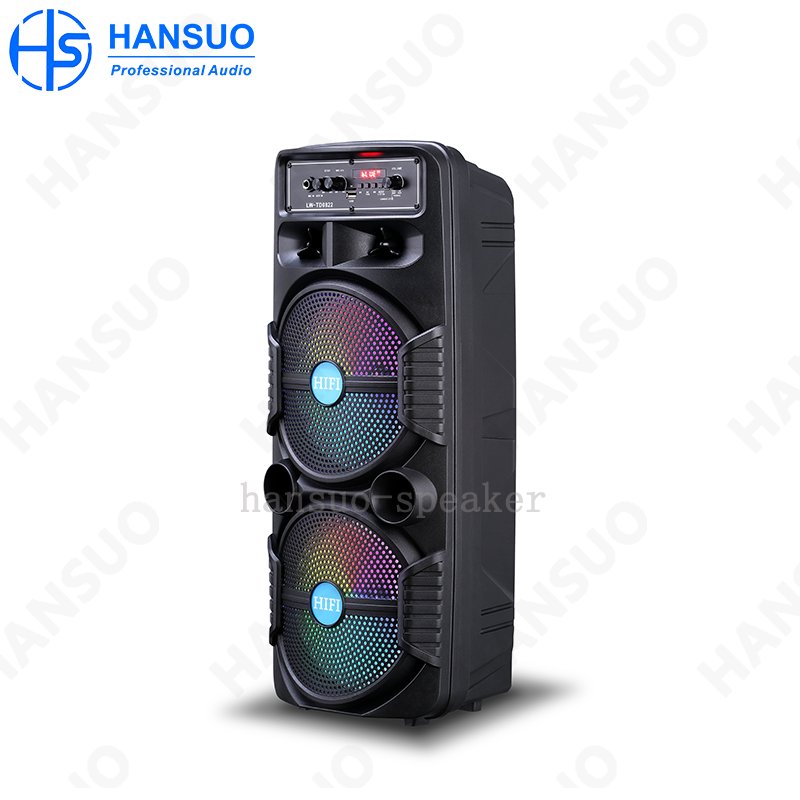 Low price speaker dual 08 inch woofer 60 W high power Alto-falante trolley power amplifier professional wifi