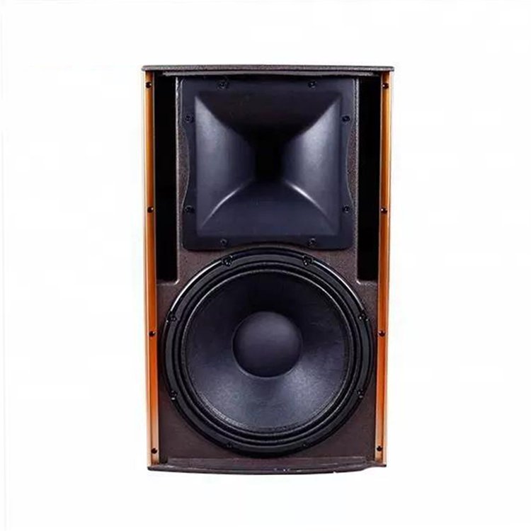 Professional Single 12 Inch Speaker Sound Box Line Array Pa System Passive Speakers For Concert