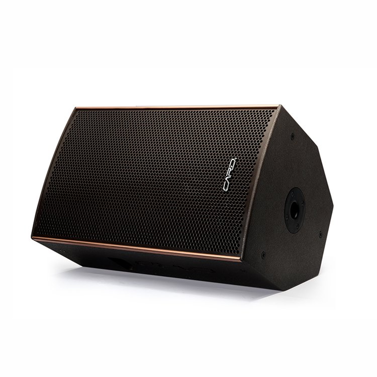 Professional Single 12 Inch Speaker Sound Box Line Array Pa System Passive Speakers For Concert