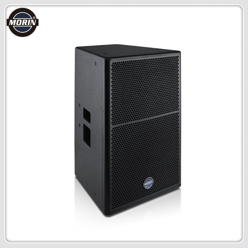 Full Range Customize Concert Waterproof DJ Powered Professional PA System Speaker CX-15