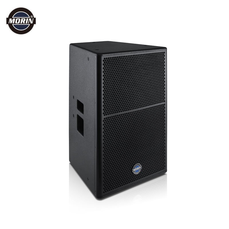 Full Range Customize Concert Waterproof DJ Powered Professional PA System Speaker CX-15