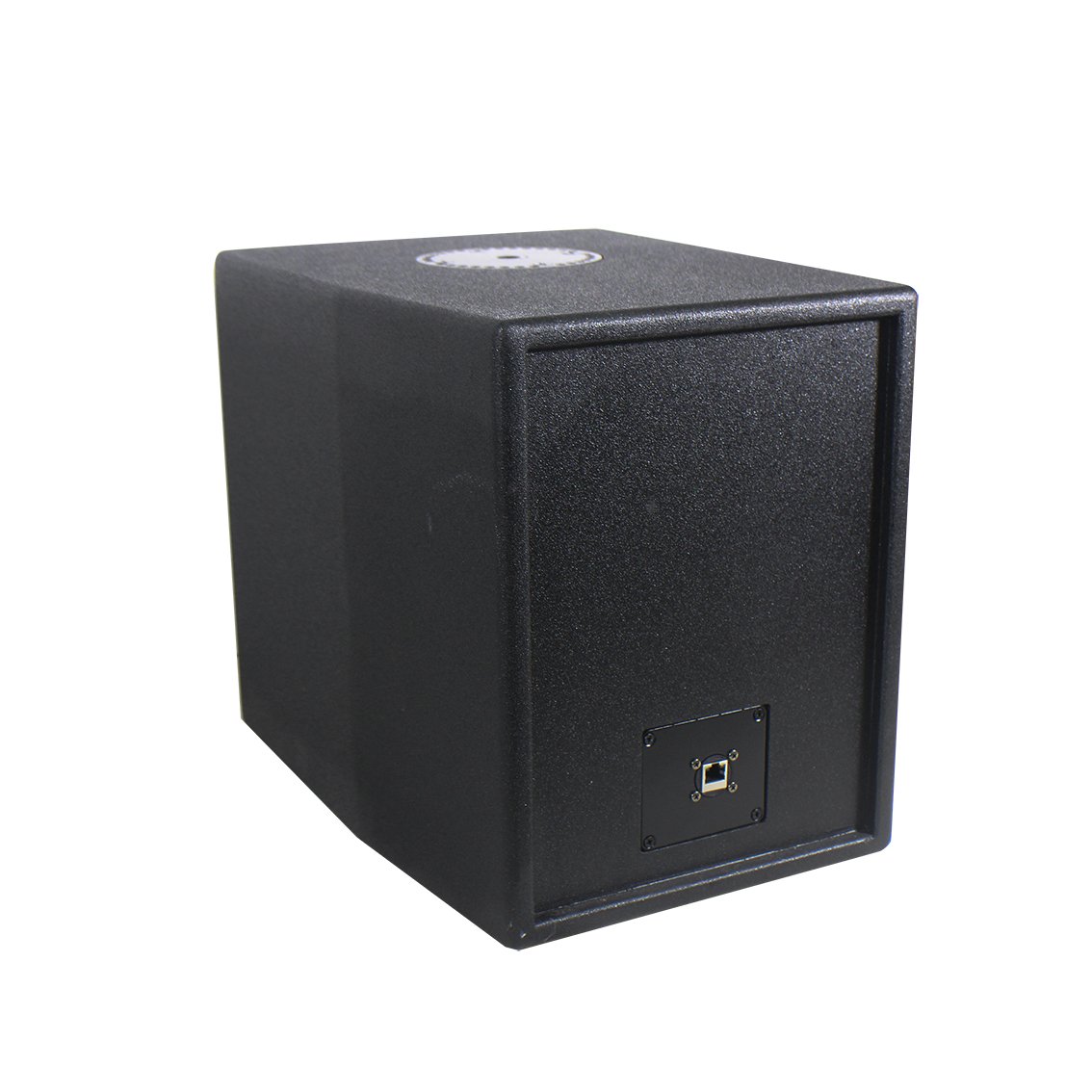 M Professional Subwoofer Speaker120W 8ohm Sound Equipment Speaker Powerful Subwoofer with DSP/POE