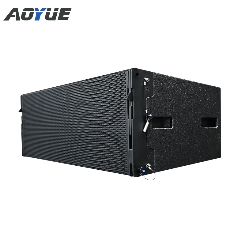 Aoyue outdoor audio sound system passive double 12 inch line array speaker
