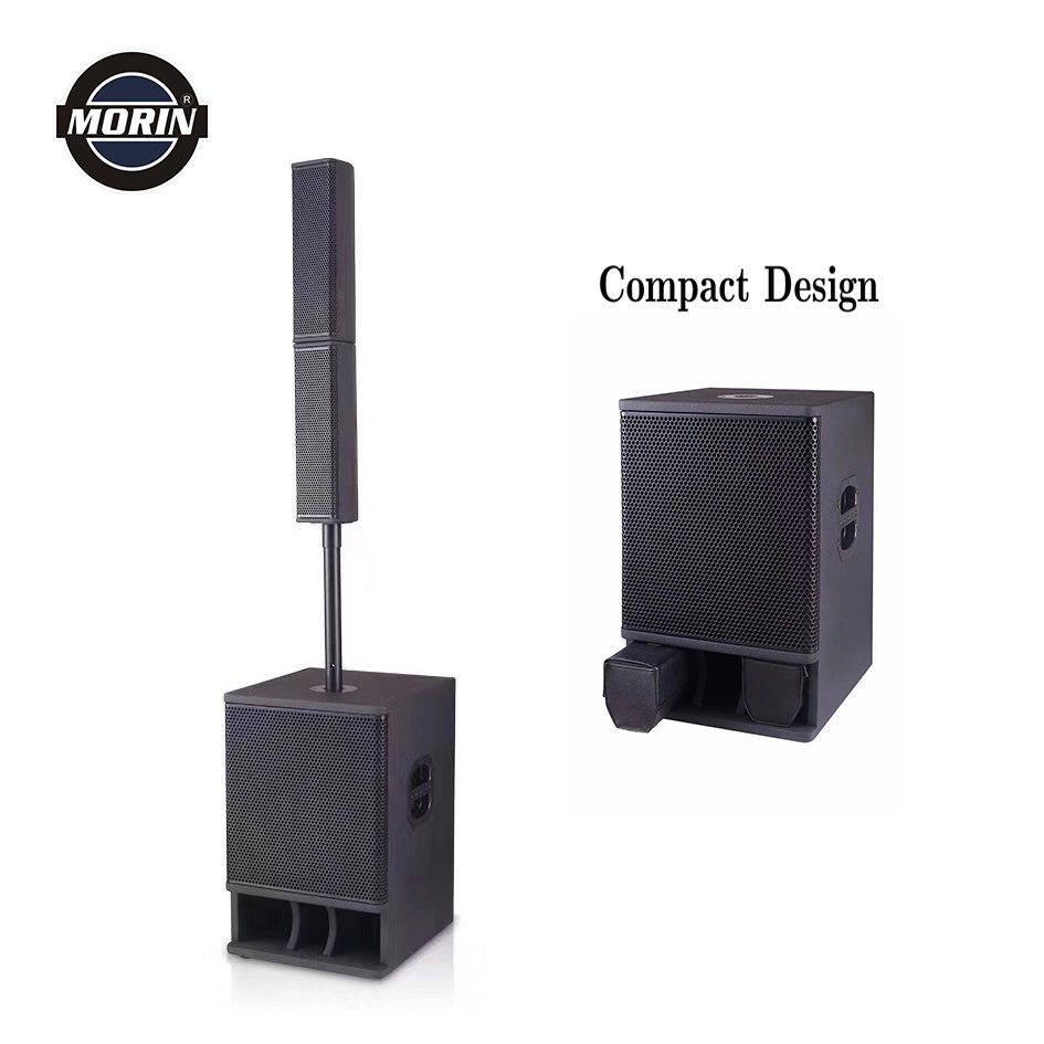 Active Powered Pa Column Speaker System with Italy component, build in DSP