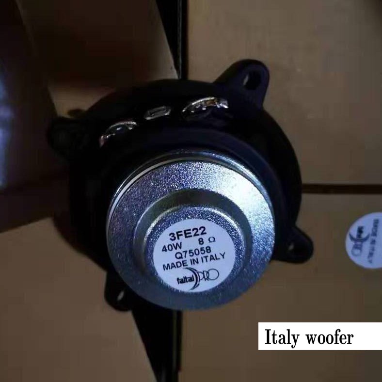 Active Powered Pa Column Speaker System with Italy component, build in DSP