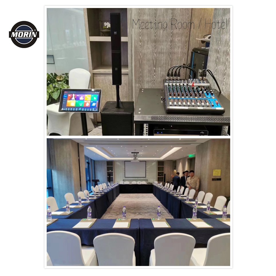 Active Powered Pa Column Speaker System with Italy component, build in DSP