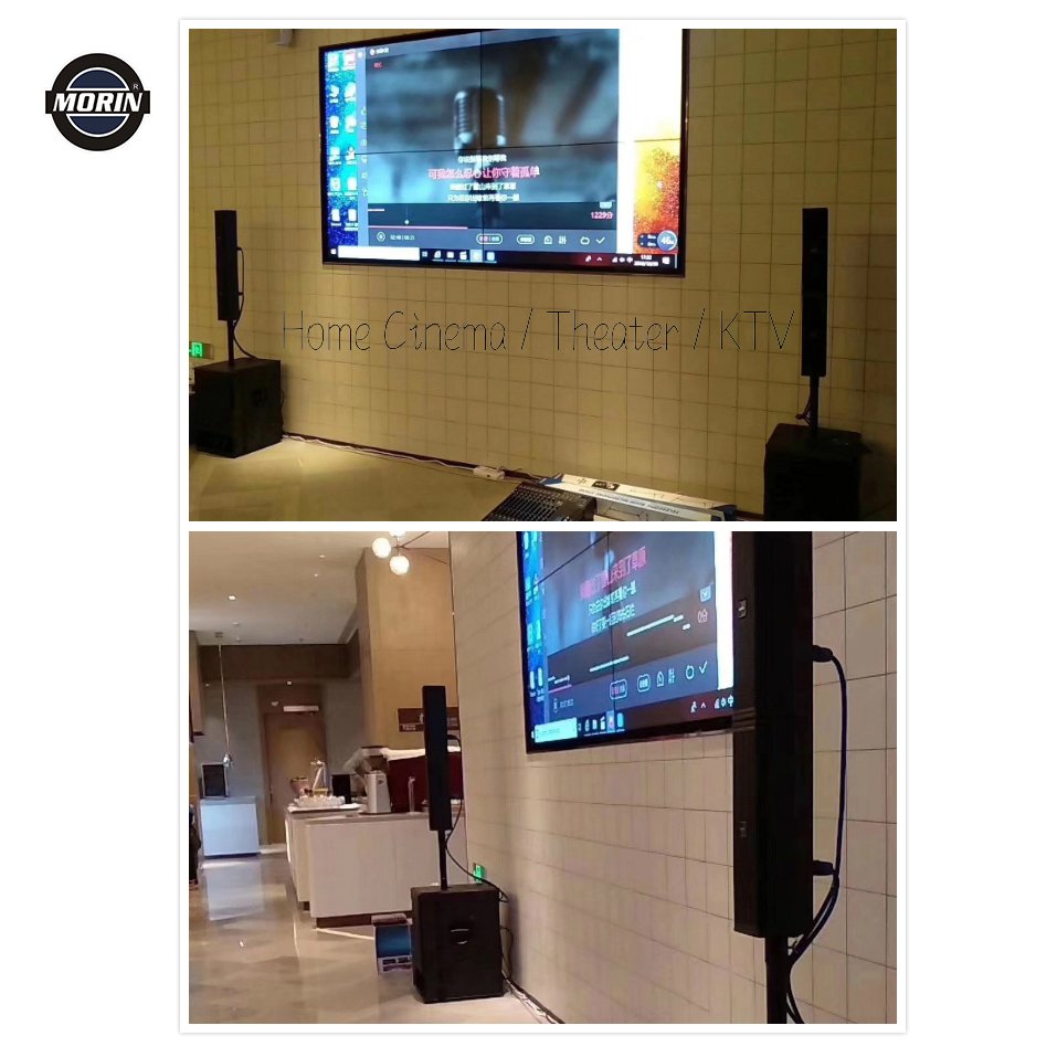 Active Powered Pa Column Speaker System with Italy component, build in DSP
