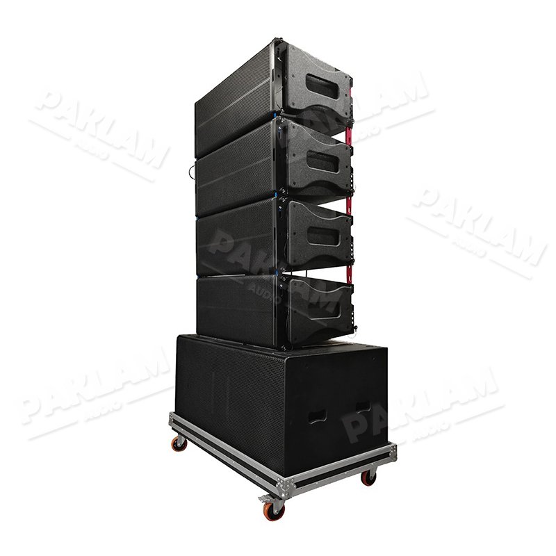 PAKLAM AUDIO Dual 10inch line array Box Design Dual 10inch Bass Enclosure customized empty cabinet for School Hall Hotel Indoor