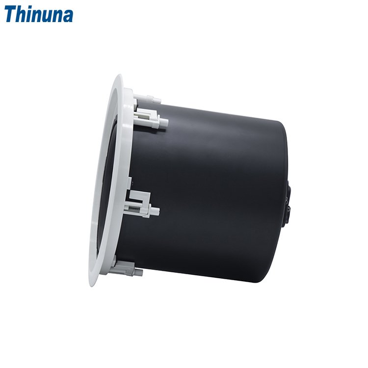 Thinuna MS-10SUB-L II PA System Audio Subwoofer 10 Inch Passive 240 Watt Bass Fixed Resistance Ceiling Sub Woofer Speaker
