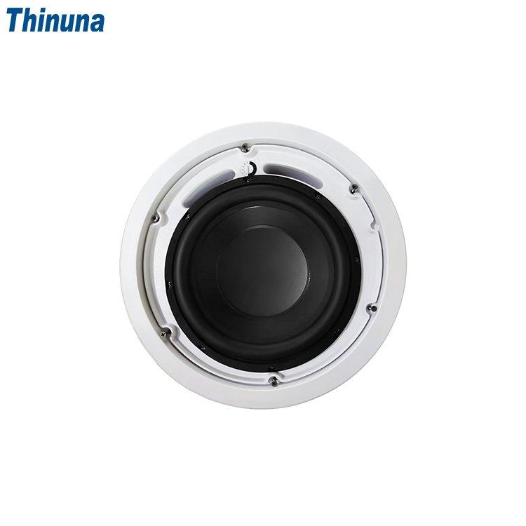 Thinuna MS-10SUB-L II PA System Audio Subwoofer 10 Inch Passive 240 Watt Bass Fixed Resistance Ceiling Sub Woofer Speaker