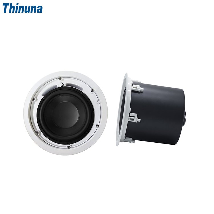 Thinuna MS-10SUB-L II PA System Audio Subwoofer 10 Inch Passive 240 Watt Bass Fixed Resistance Ceiling Sub Woofer Speaker