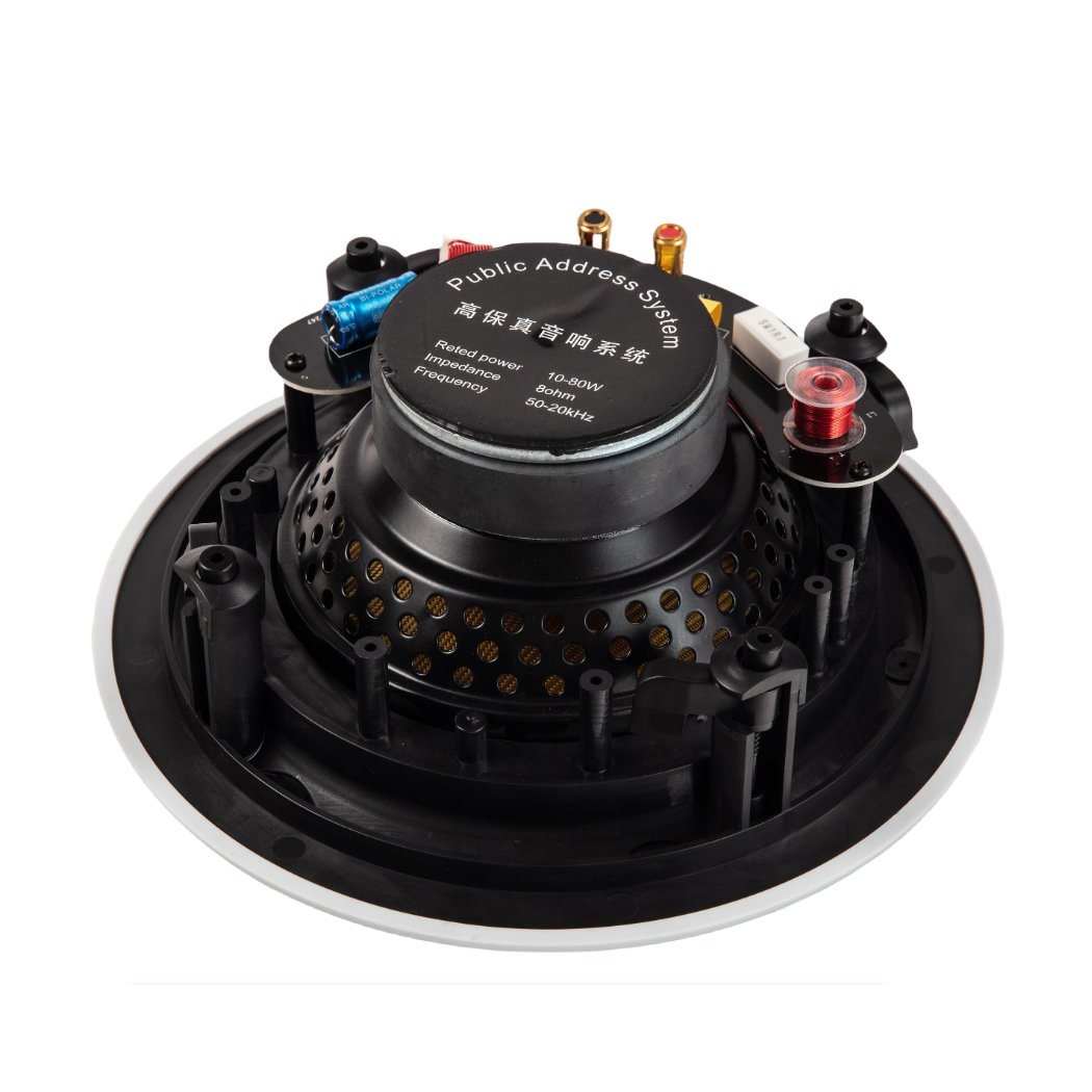 Speaker 5 inch With 5 inch Powered Pa System Professional Music 10W Bass 10watt Feiyang Speakers