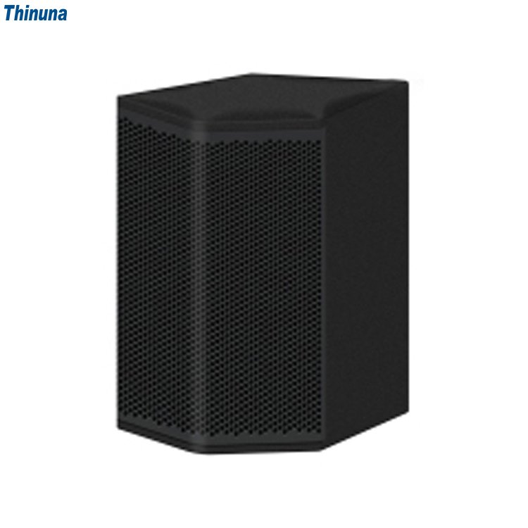 Thinuna T-6-DTP Professional Outdoor Sound Equipment Speaker 60W 6 Inch Dante POE Network Active Wall Speaker with DSP