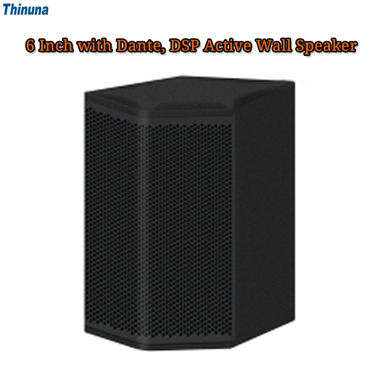Thinuna T-6-DTP Professional Outdoor Sound Equipment Speaker 60W 6 Inch Dante POE Network Active Wall Speaker with DSP