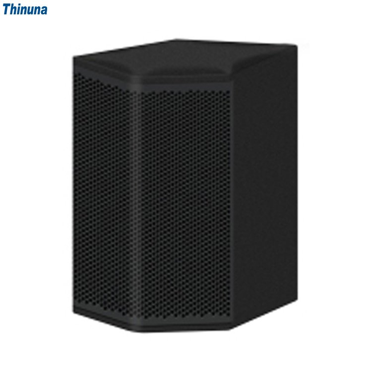 Thinuna T-6-DTP Professional Outdoor Sound Equipment Speaker 60W 6 Inch Dante POE Network Active Wall Speaker with DSP