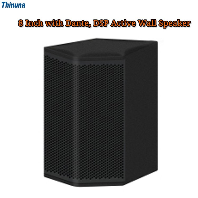Thinuna T-6-DTP Professional Outdoor Sound Equipment Speaker 60W 6 Inch Dante POE Network Active Wall Speaker with DSP
