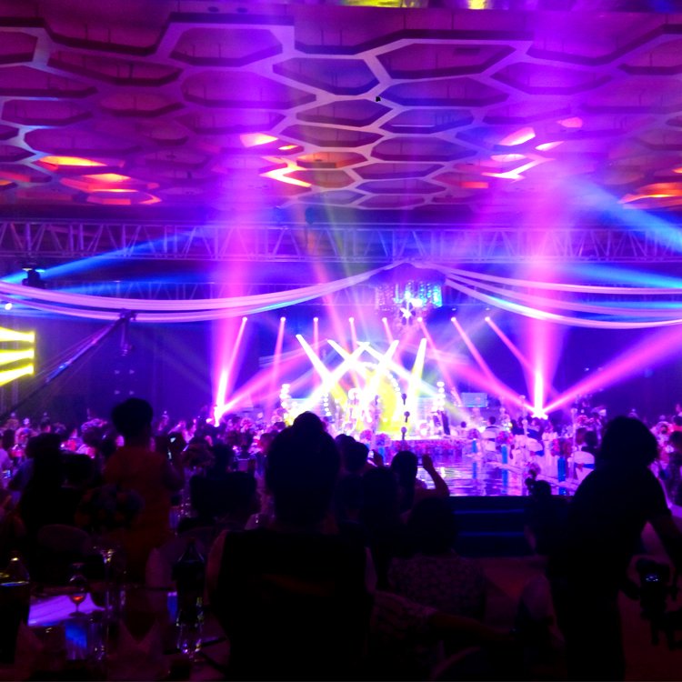 DJ Lights DMX Sound Activated 54 x 3W LED Par Lights RGB Stage DMX Par Lights For Church Concert Wedding Party Bar Stage