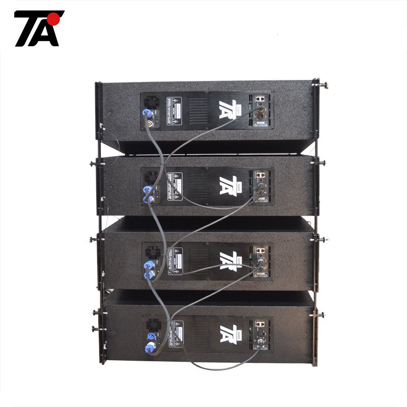 Dual 10 inch Full Range Sound System Line Array