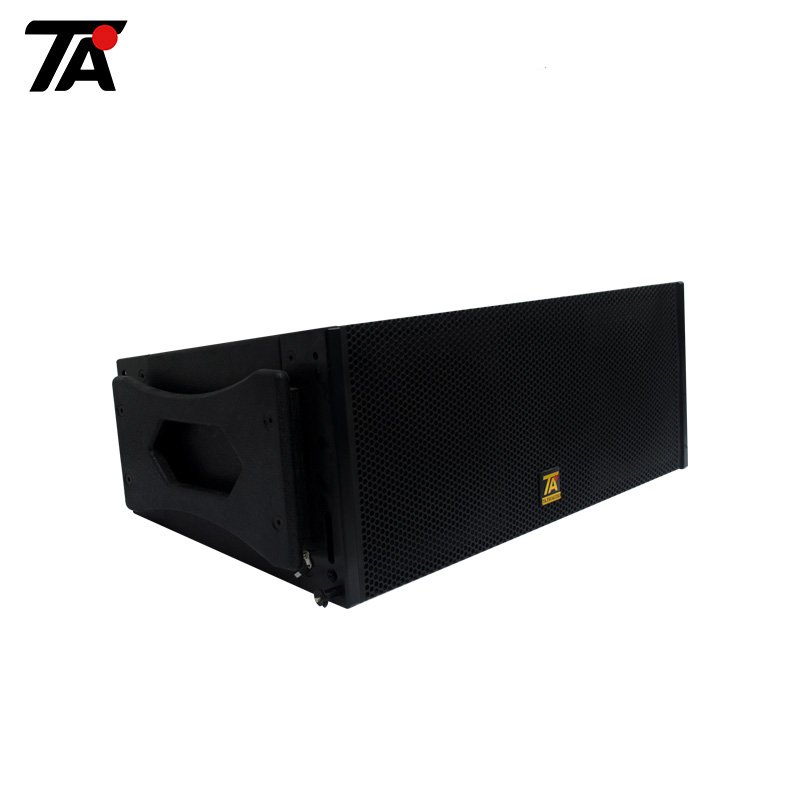 Dual 10 inch Full Range Sound System Line Array
