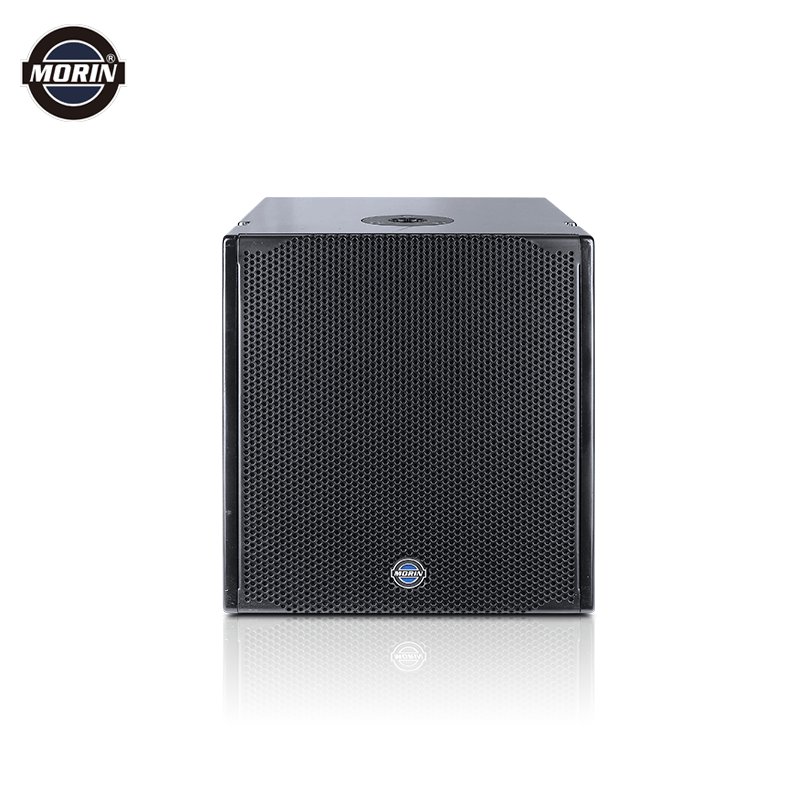 Active Pro Line Array Speaker