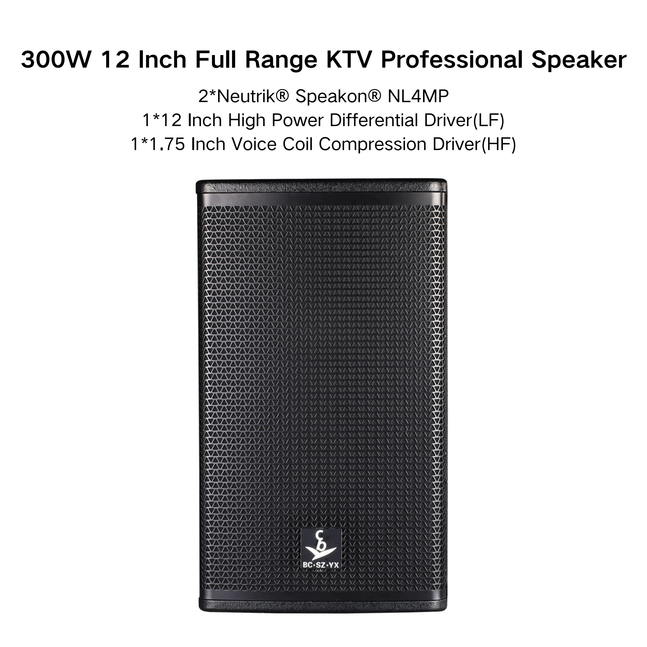 Multi-Purpose Passive 12-Inch 300W Professional Family Tweeter Home Karaoke Conference Speakers