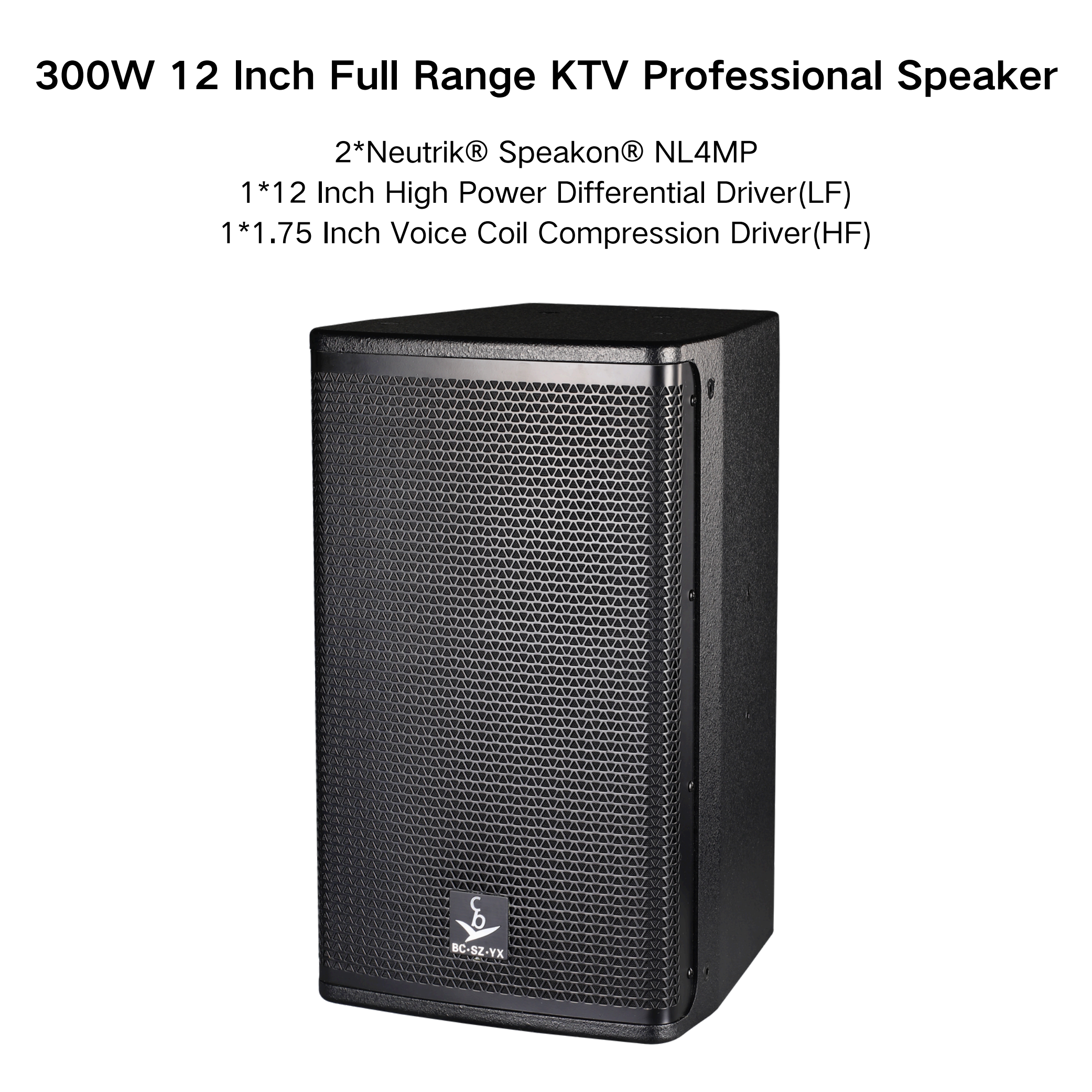 Multi-Purpose Passive 12-Inch 300W Professional Family Tweeter Home Karaoke Conference Speakers