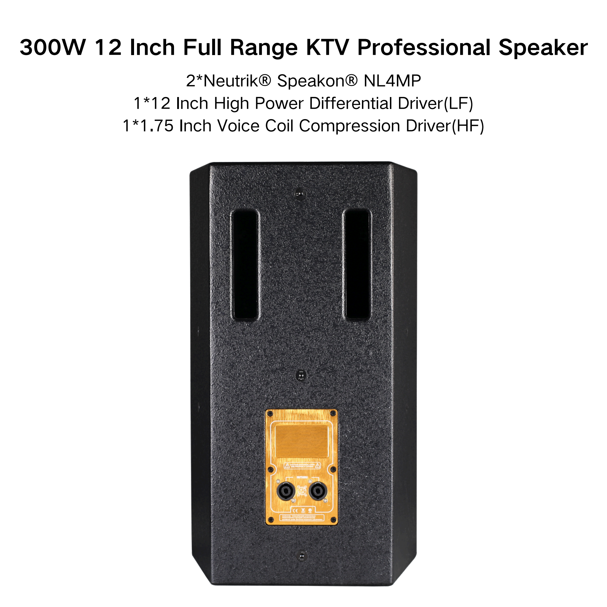 Multi-Purpose Passive 12-Inch 300W Professional Family Tweeter Home Karaoke Conference Speakers