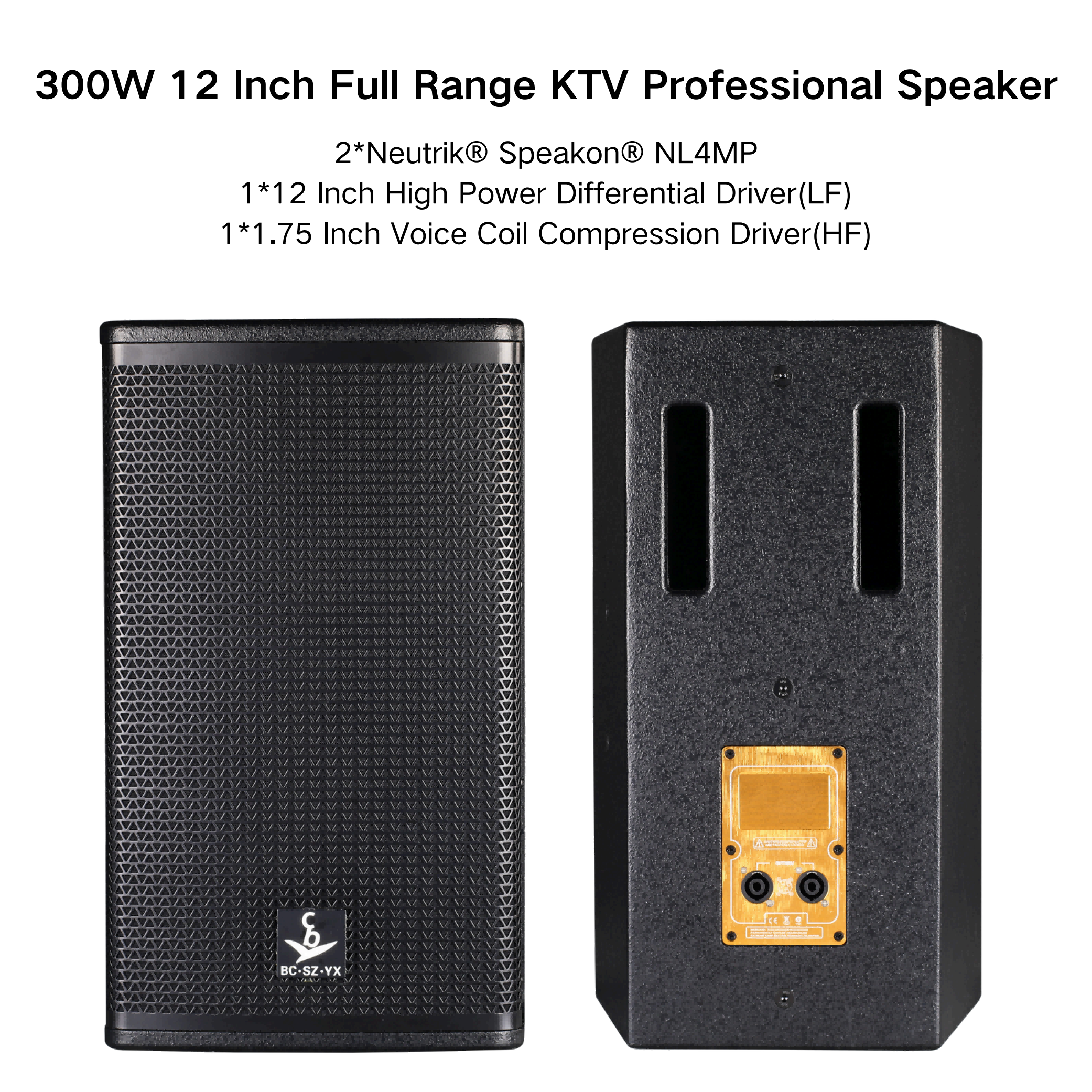 Multi-Purpose Passive 12-Inch 300W Professional Family Tweeter Home Karaoke Conference Speakers