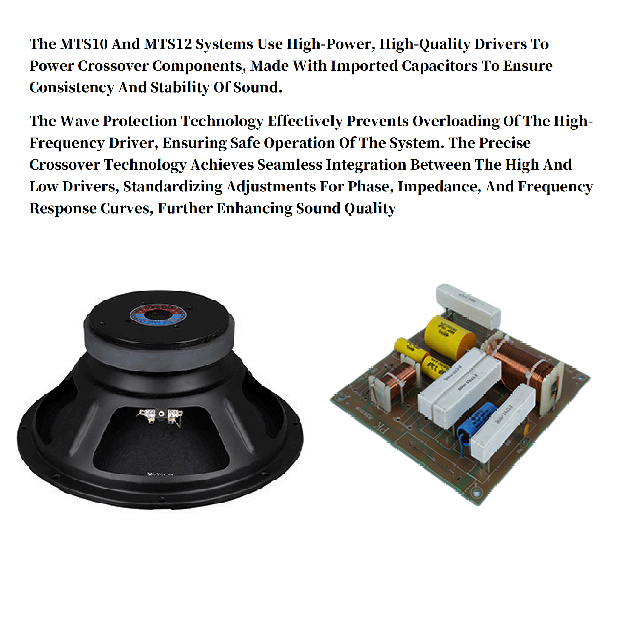 Multi-Purpose Passive 12-Inch 300W Professional Family Tweeter Home Karaoke Conference Speakers
