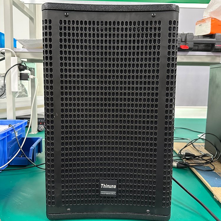 Thinuna T-10-DL Professional Audio Stage Karaoke Wall Speaker Sound System 8 Ohms 350 Watt Active Single 10" Full Range Speaker