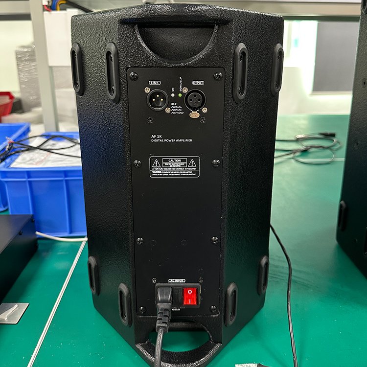 Thinuna T-10-DL Professional Audio Stage Karaoke Wall Speaker Sound System 8 Ohms 350 Watt Active Single 10" Full Range Speaker