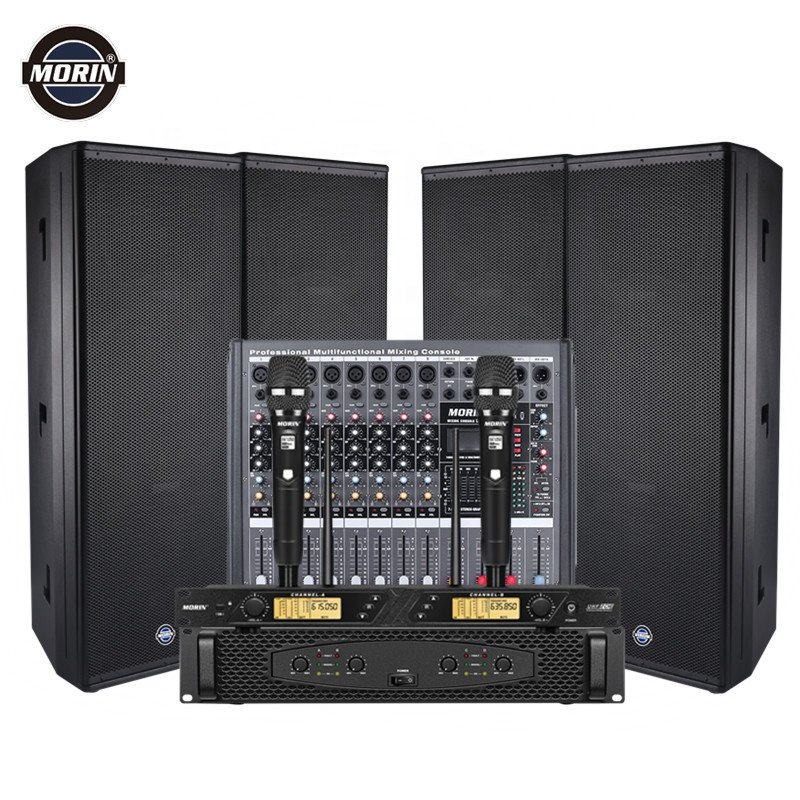 Dual 15 Inch Professional Amplifier Powered Full Range Passive PA Audio System Outdoor Concert Speaker