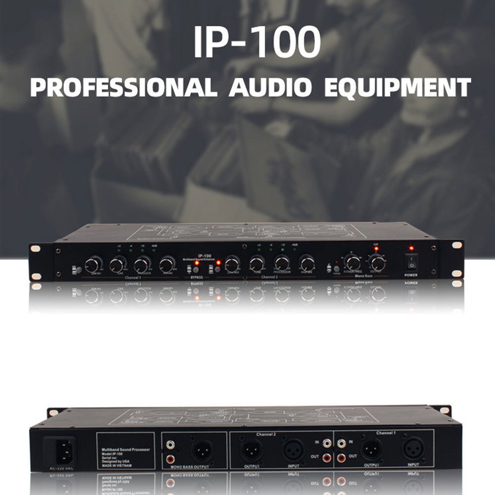 GAX-IP100 Professional audio equalizer Power equalizer dj equipment professional sound equipment