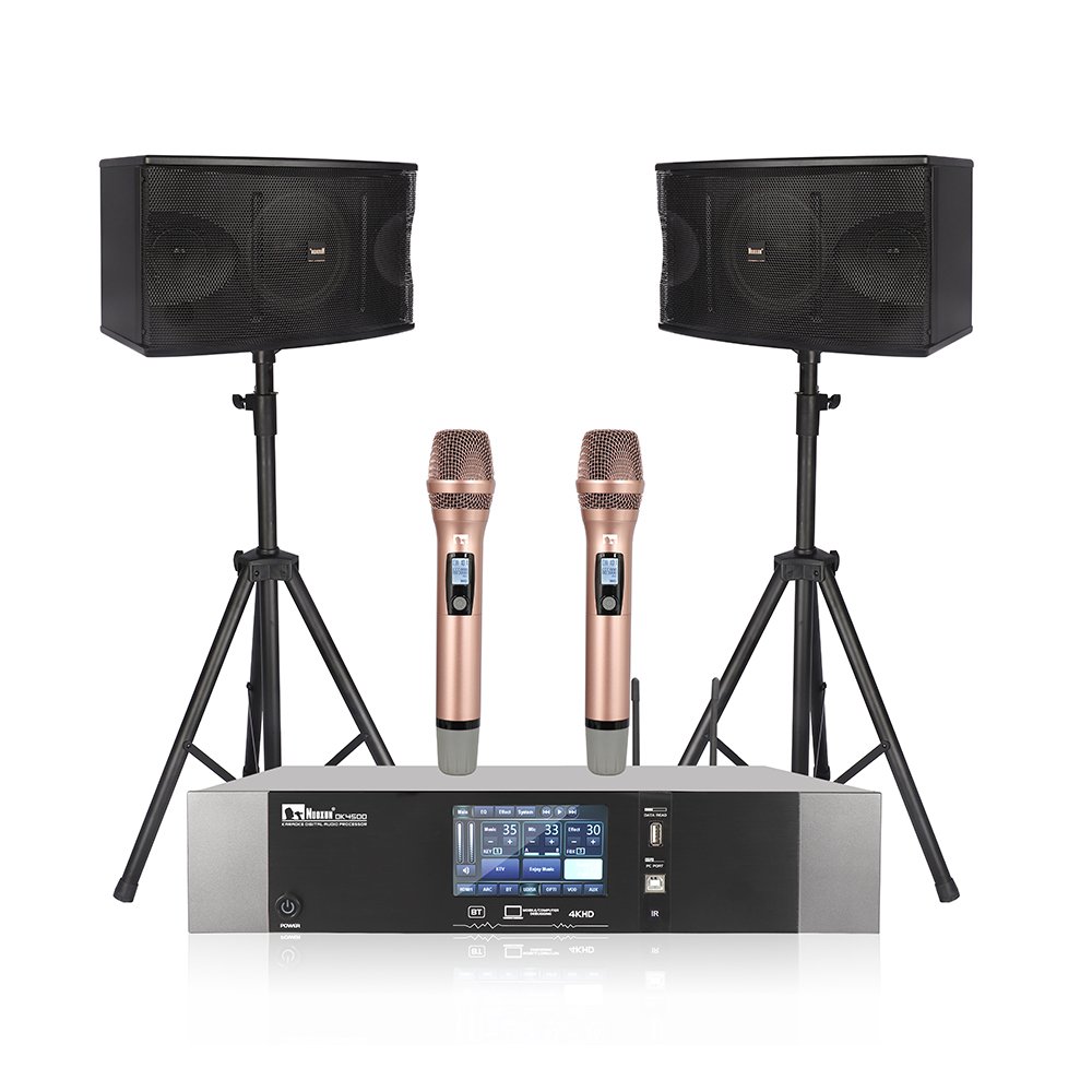 Hot Selling Whole Set Karaoke System with Wireless Microphone Power Amplifier Speaker
