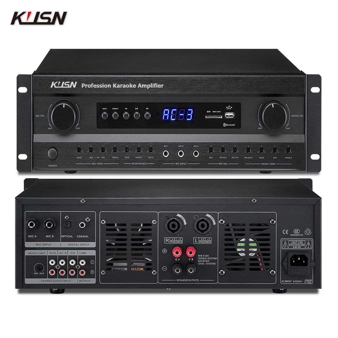250W+250W 8 Ohm Professional Digital Karaoke Power Amplifier Sound DSP feedback Suppression PA System with USB Bluetooth